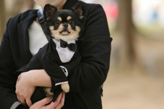 おめかししてロケーション♪