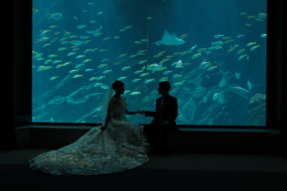 マリンワールド海の中道ロケ