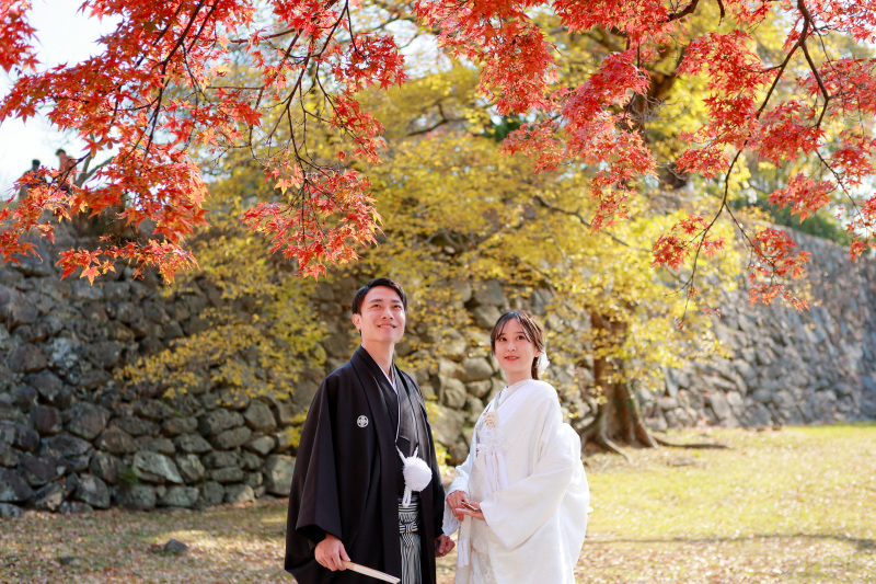 背景の石垣と紅葉