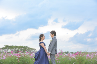 コスモス撮影♩