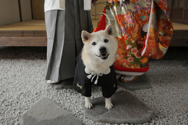 可愛い瞬間も!