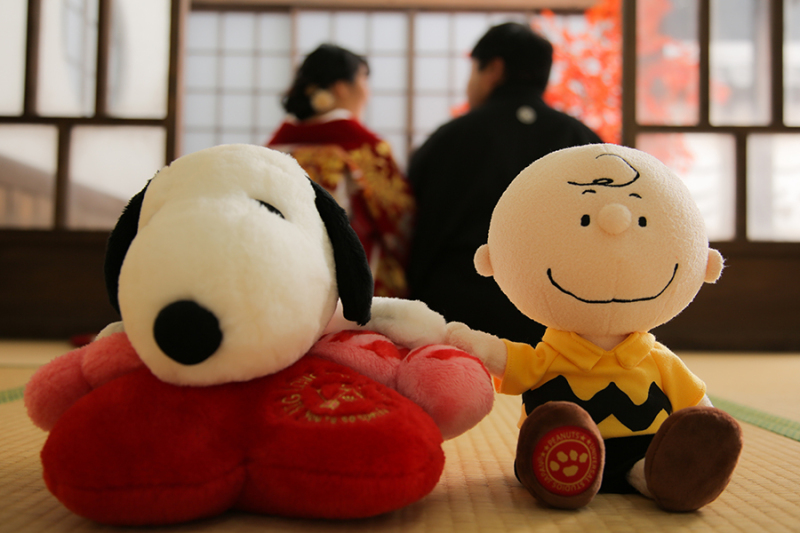 ポイントは。。