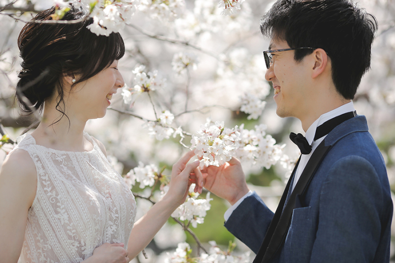 桜のベール