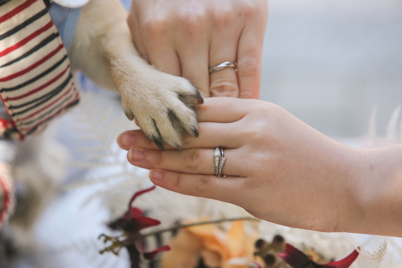 イメージ写真も仲良く♪