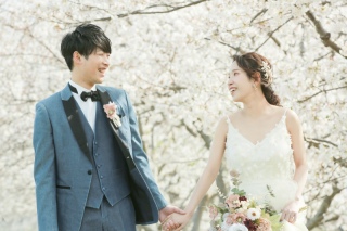 糸島　桜ロケーション