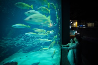 マリンワールドと屋内庭園スタジオ