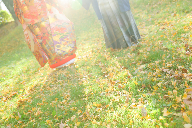 イメージカット