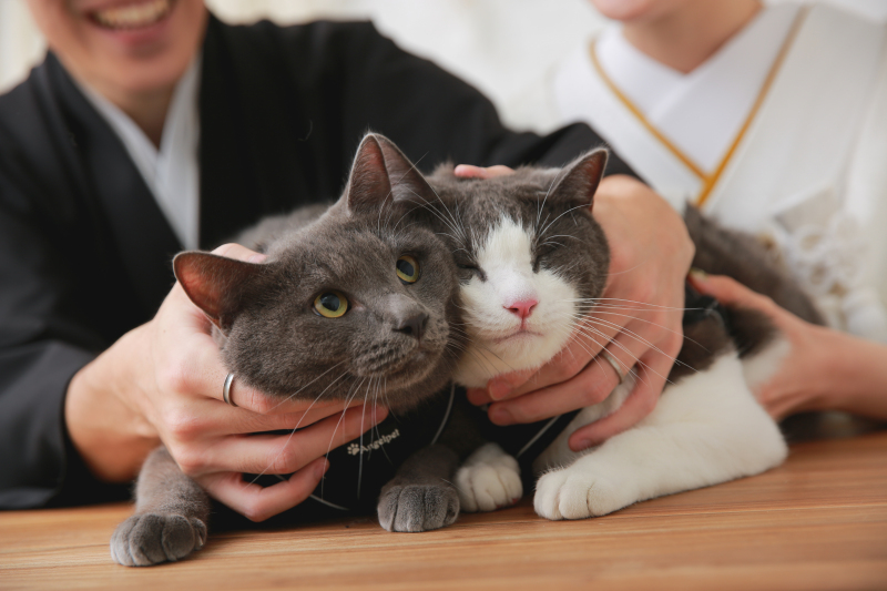 STUDIO AN（スタジオAN）_ペットと一緒に撮影できる