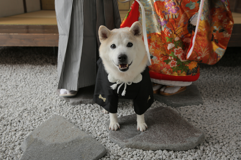 ソロショットも撮れます！