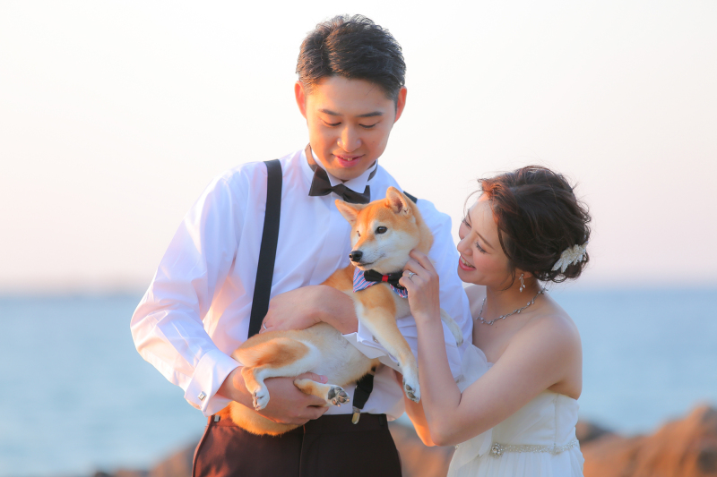 STUDIO AN（スタジオAN）_ペットと一緒に撮影できる