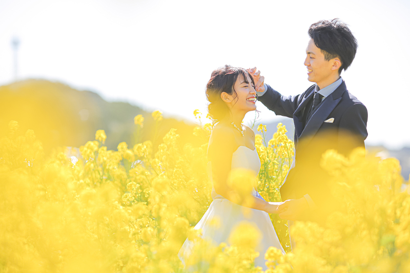 菜の花畑で春らしい写真を撮りませんか？