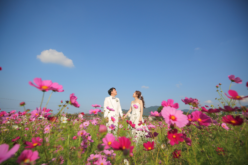 白いドレスとピンクのお花の組合せが可愛い！