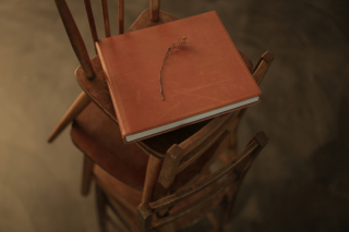 ブッテーロアルバム(30ページ80カット)