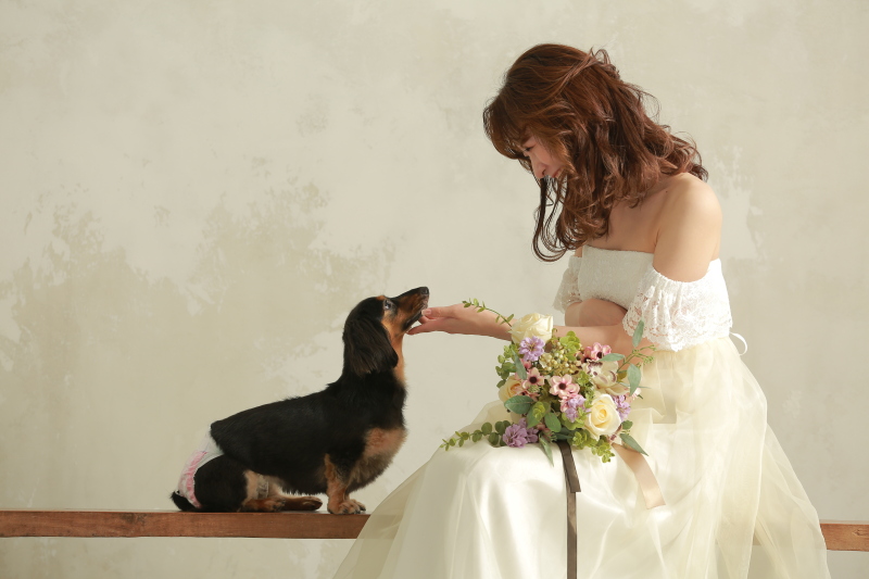 20以上ある撮影シーン