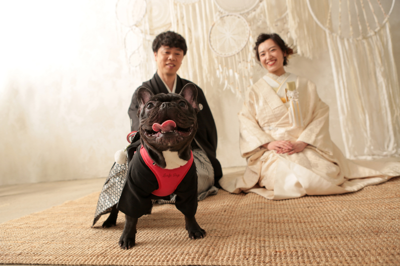 STUDIO AN（スタジオAN）_ペットと一緒に撮影できる
