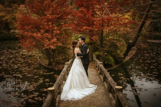 自然の中での撮影