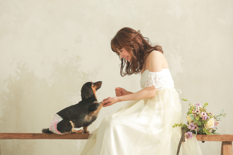 新春限定福袋プラン和洋スタジオ100カット全データ￥99,000プラン！