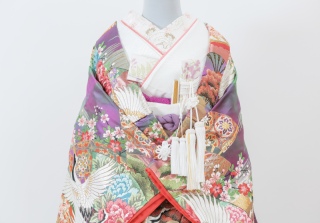 色打掛コーディネート