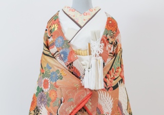 色打掛コーディネート