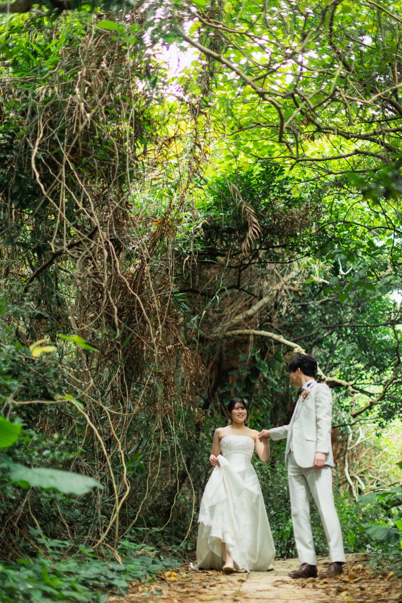 Green,Bridge and Beach