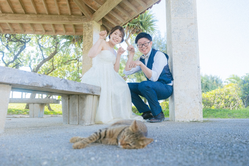 猫とも可愛くポップに！