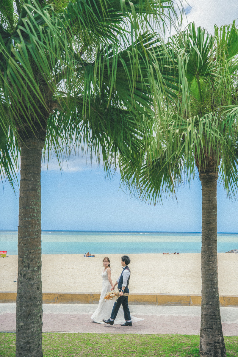 ヤシの木の間に、フレームイン!