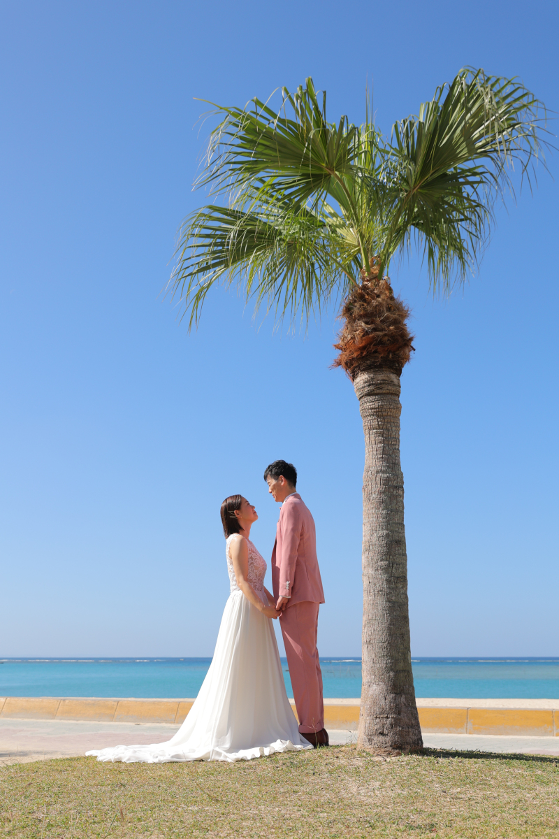 青い海にヤシの木