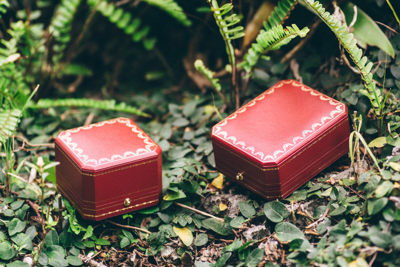 大事なモノの今も写す