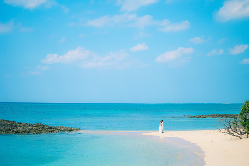 エピローグ:蒼の静寂