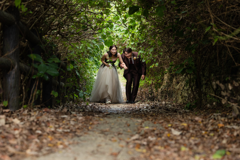 木のアーチを通って