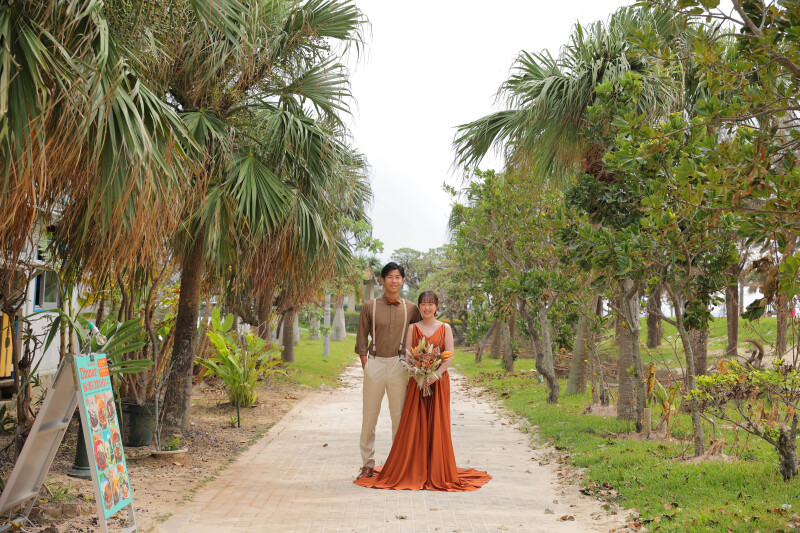 南国の木々たちと