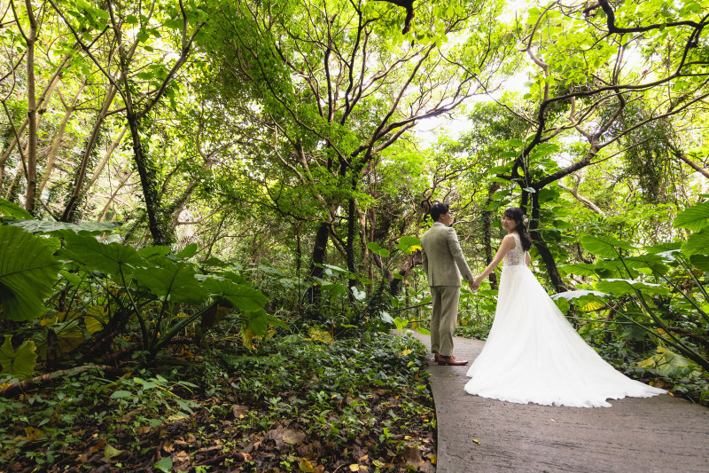 ガンガラーの谷1