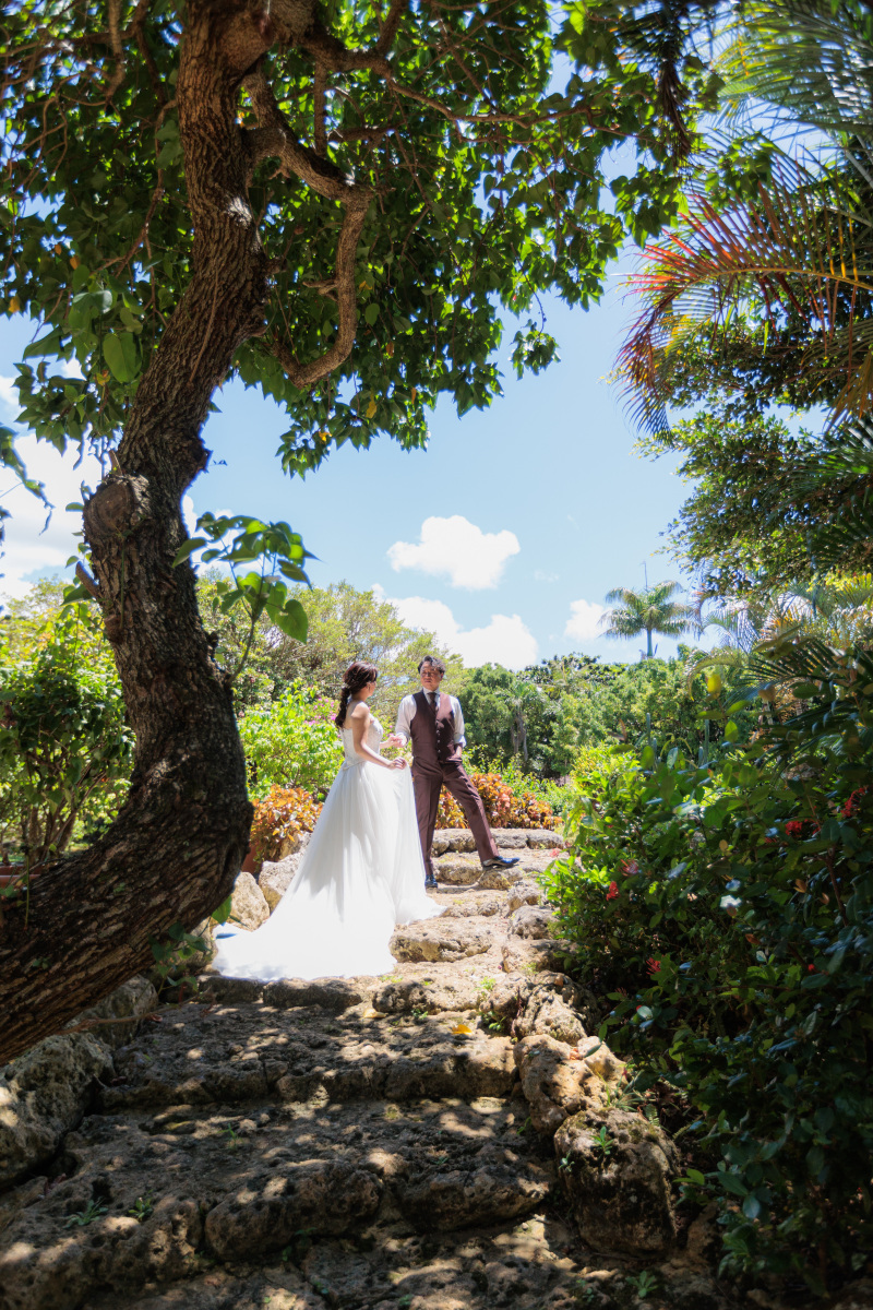 空へ続く階段も