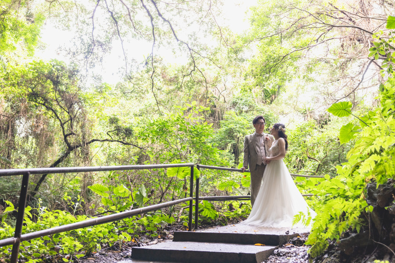 ガンガラーの谷6