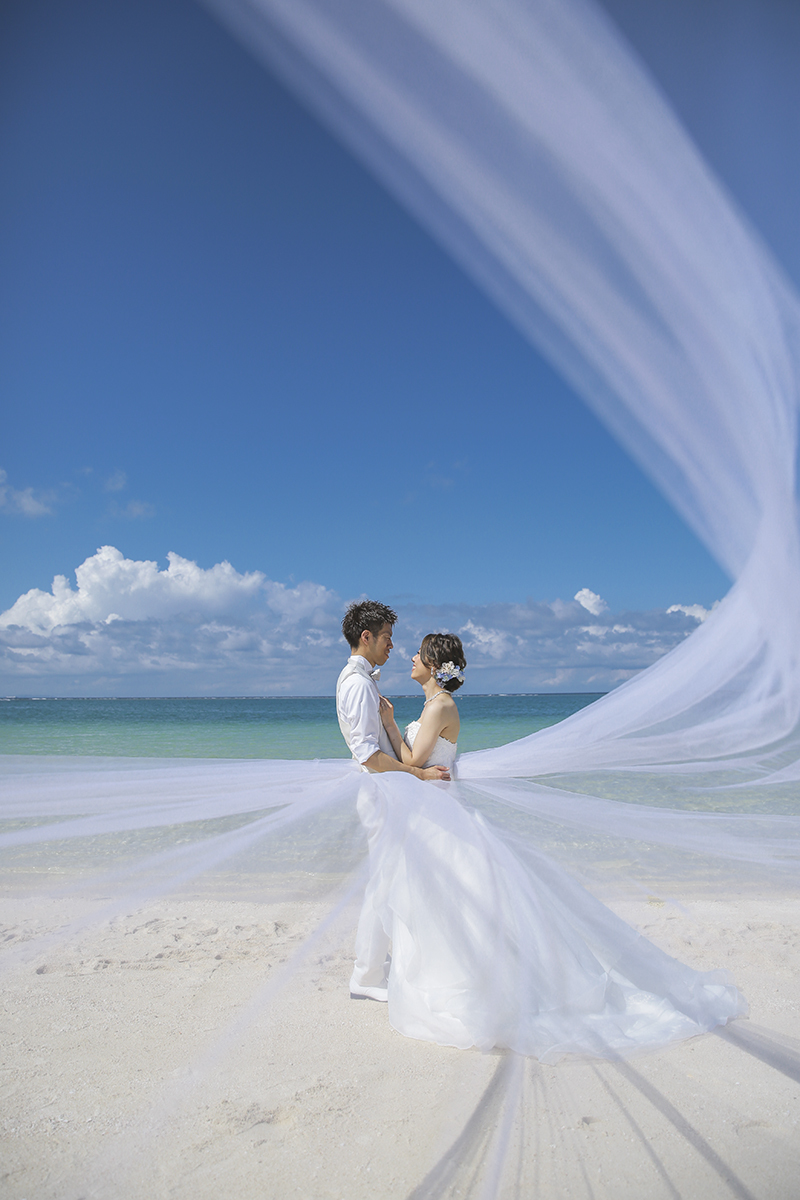 大人気のチュール