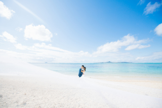 北部ビーチ＋フクギ並木