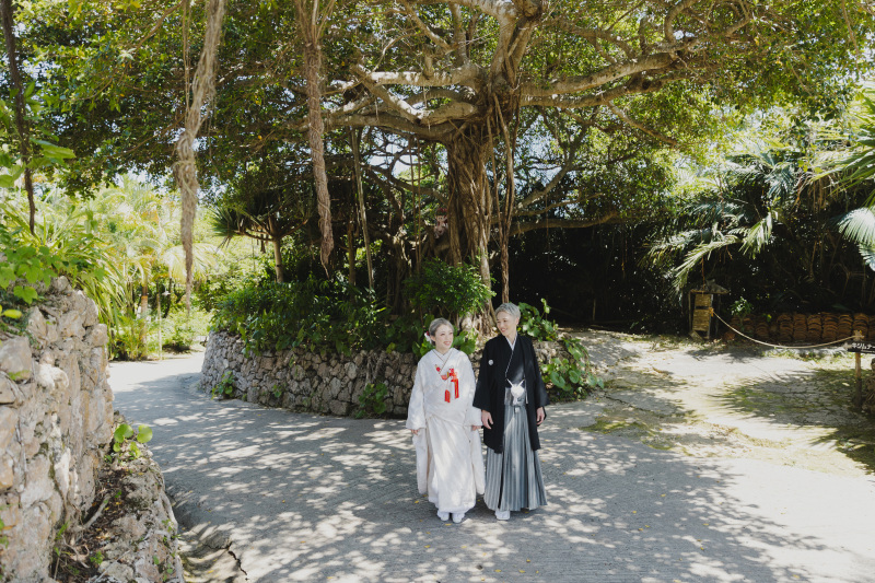 木漏れ日がかわいい