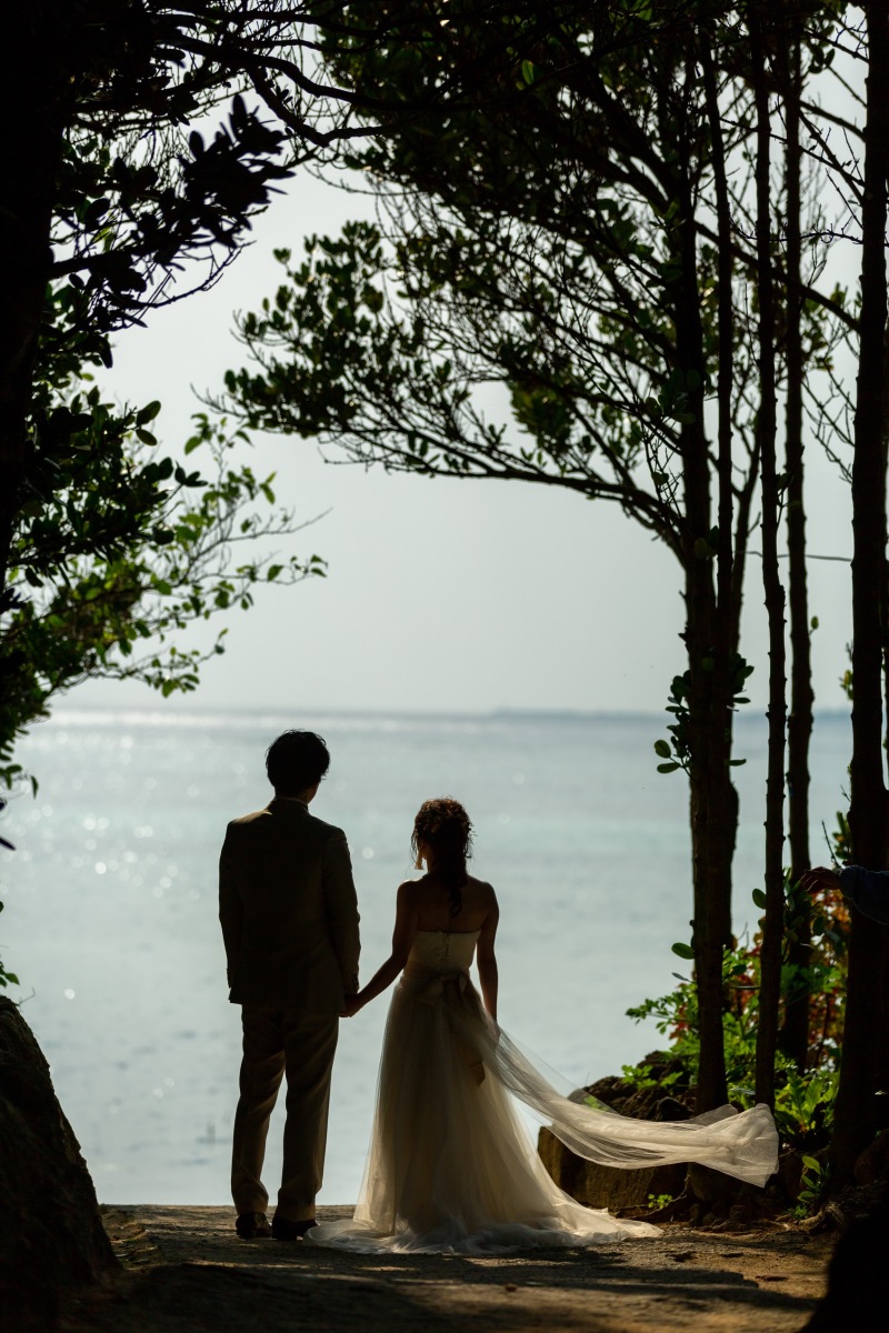 フクギ並木から見える海