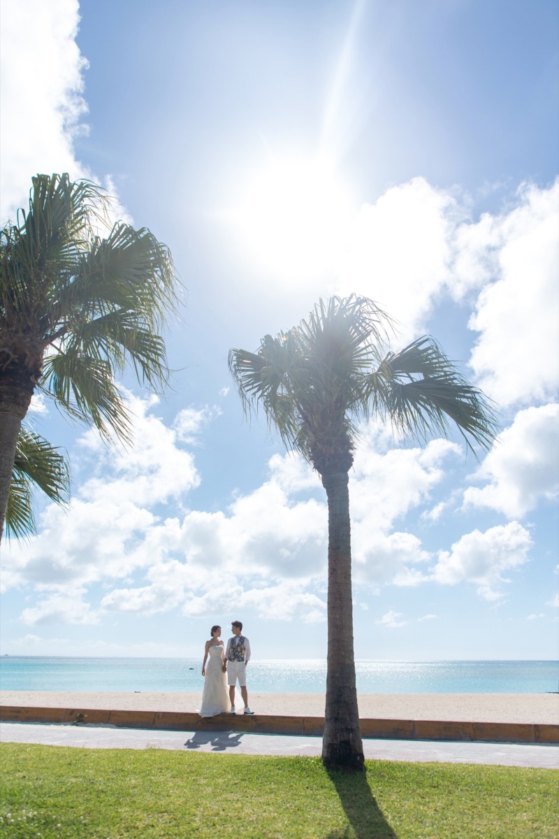 ヤシの木と海をバックに
