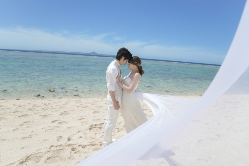 こんなお写真も!