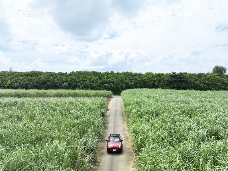 さとうきび畑+ビーチ撮影