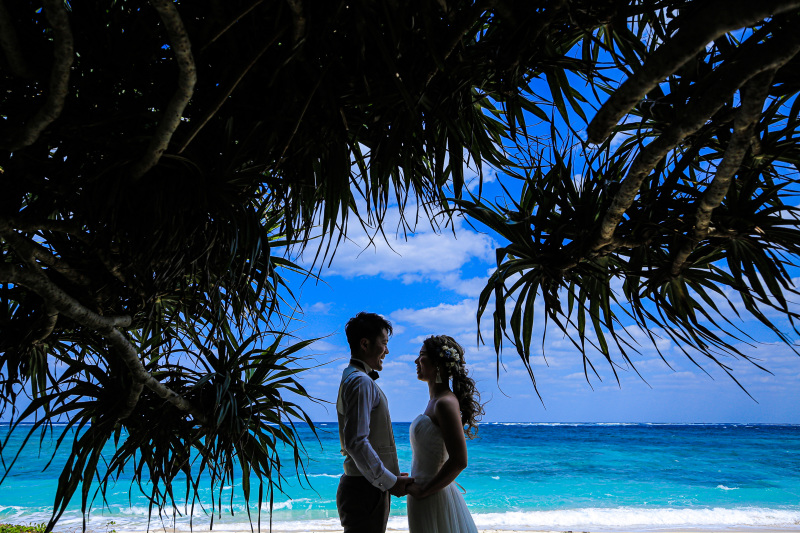 ヤシの木シルエット