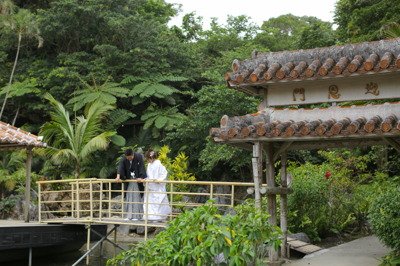 鯉に餌やり!(笑)