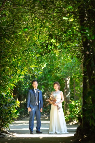 フクギ並木での撮影