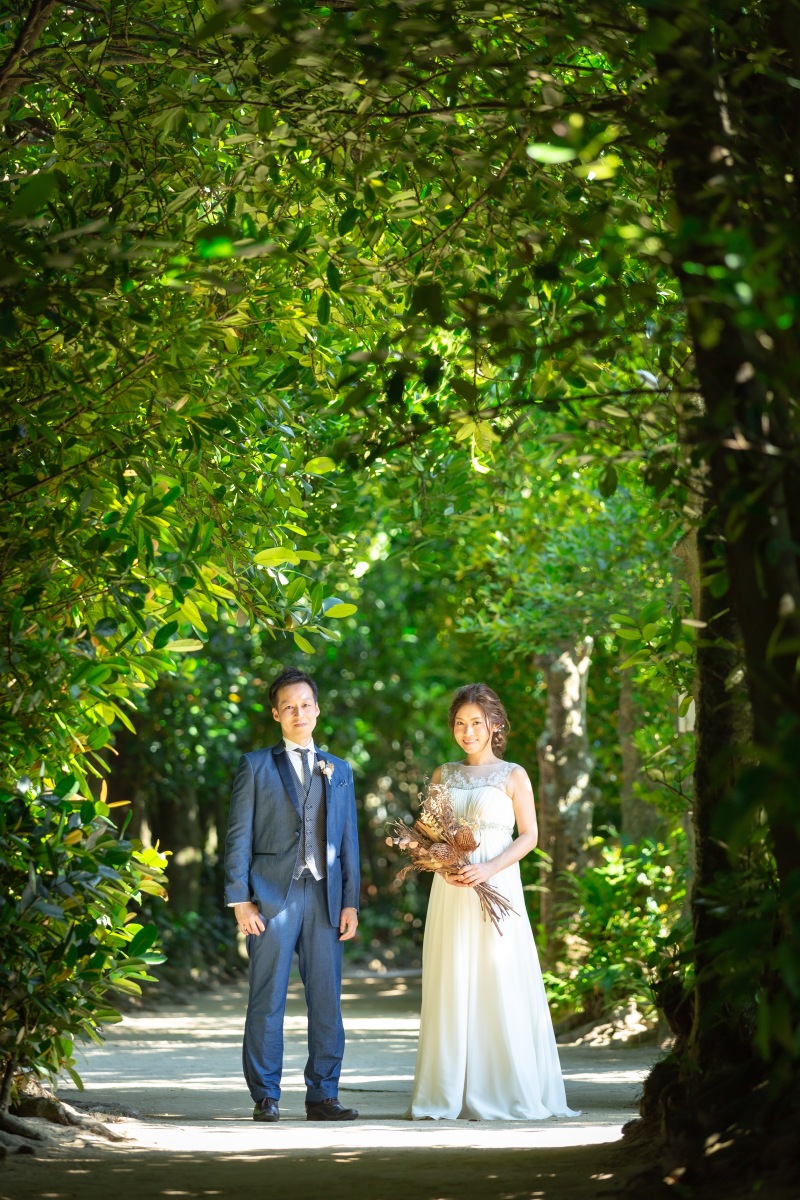 フクギ並木での撮影