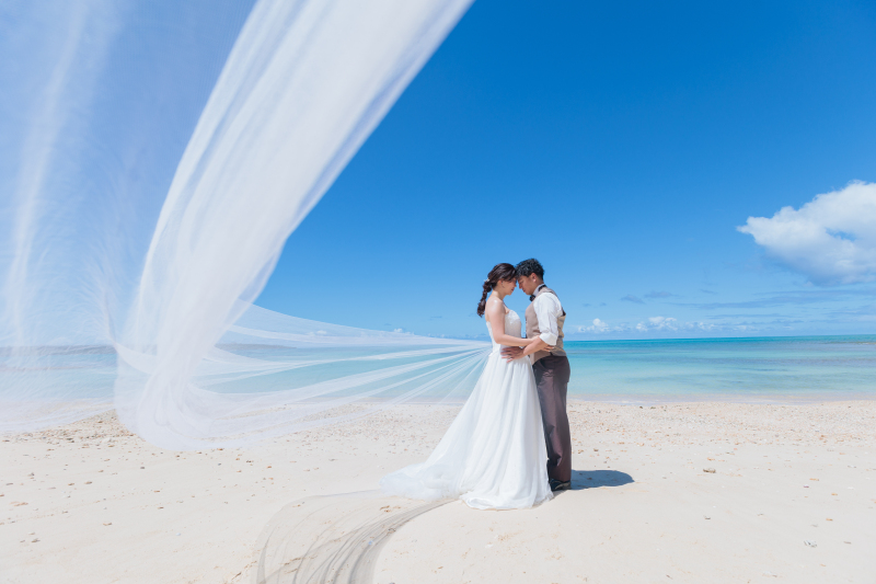 王道なベールショットも