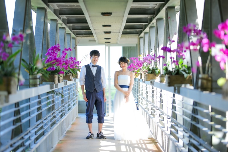 ビオスの丘入口