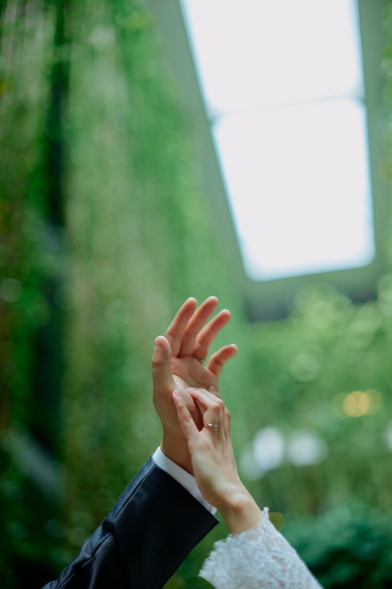 イメージカット