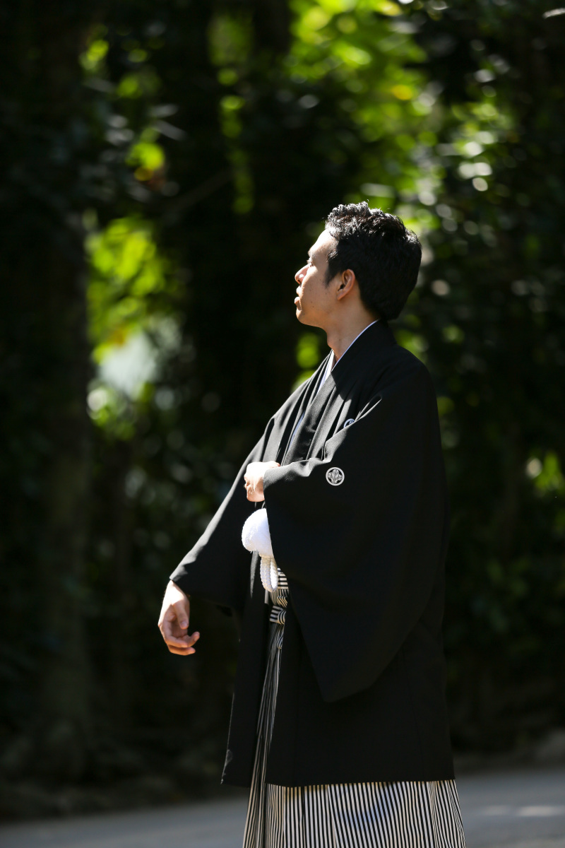 晴れのフクギ並木