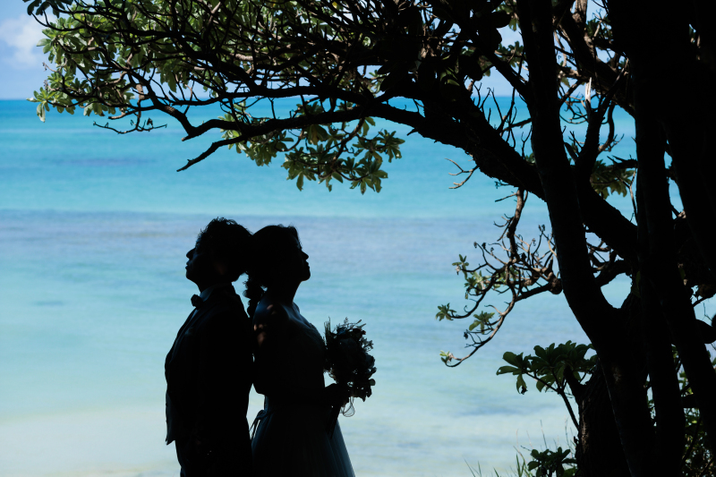 シルエットから